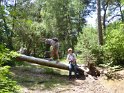 2017-06-01 15-19-37 Rando Fontainebleau CGn